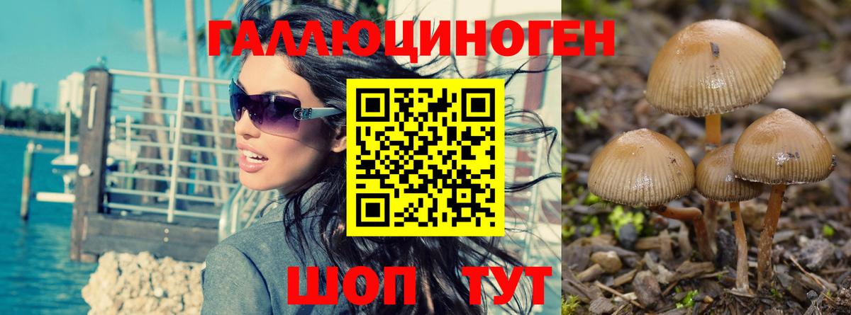 Лесной  наркотики  Вход с VPN  Псилоцибиновые грибы Psilocybine cubensis 