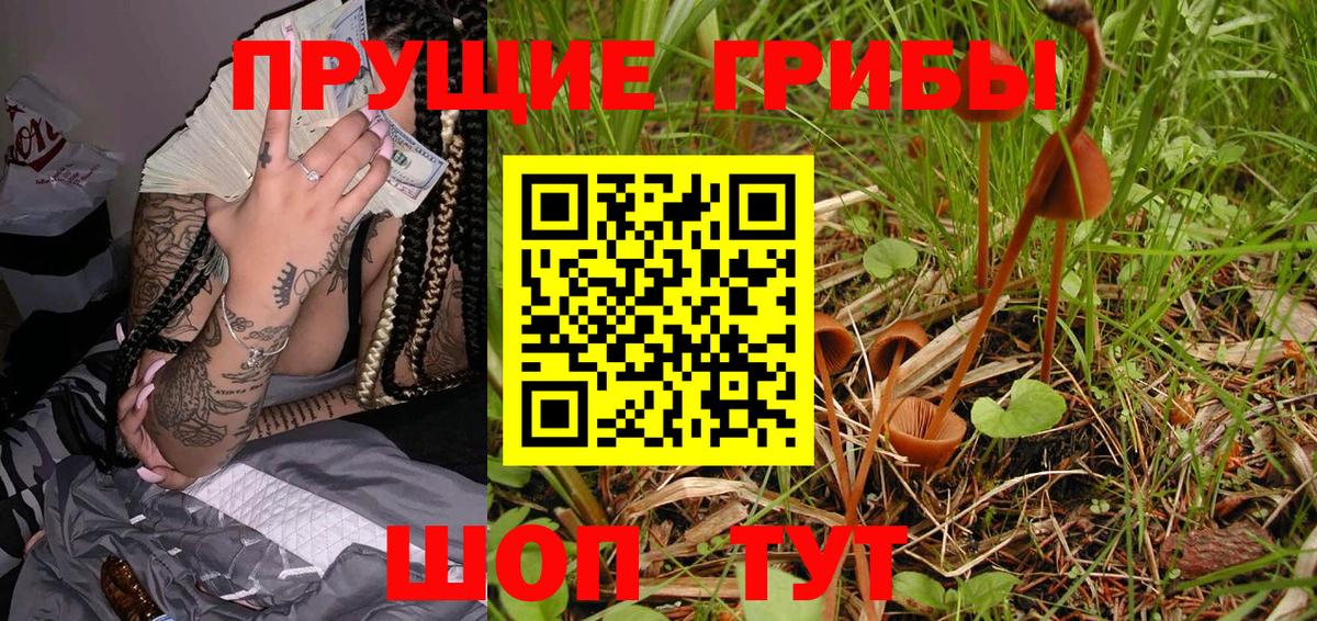 Галлюциногенные грибы GOLDEN TEACHER Лесной